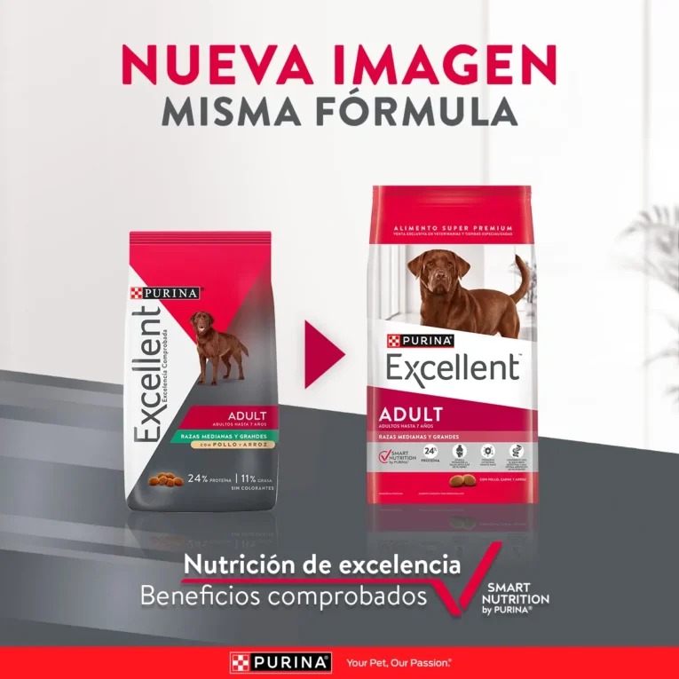 Excellent Adulto Raza Mediana y Grande