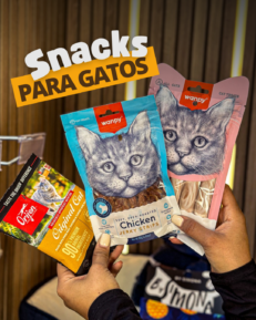 Snacks