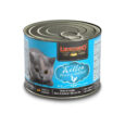 Leonardo Lata Kitten 1