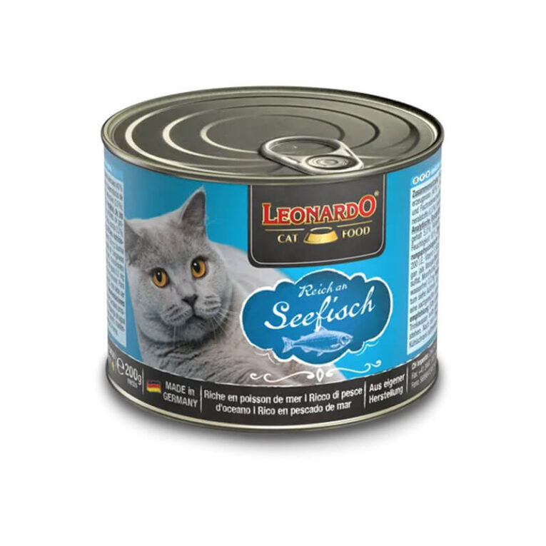 Leonardo Lata Pescado 1