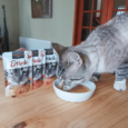 Leonardo Sachet Drink Ternera 2