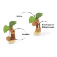 PLAY Tropical Paradise Puppy Palm 1