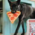 Play Juguete Snack Attack Pizza 1