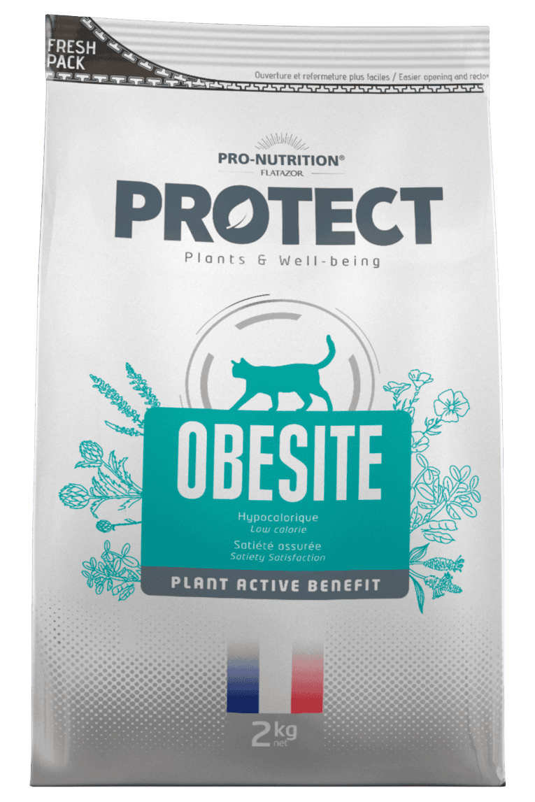 obesite-front3083