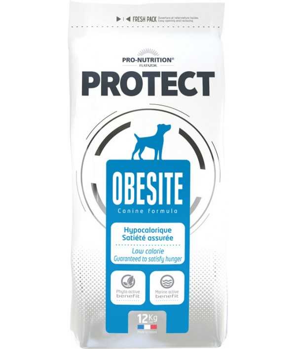 protect-obesite-canino