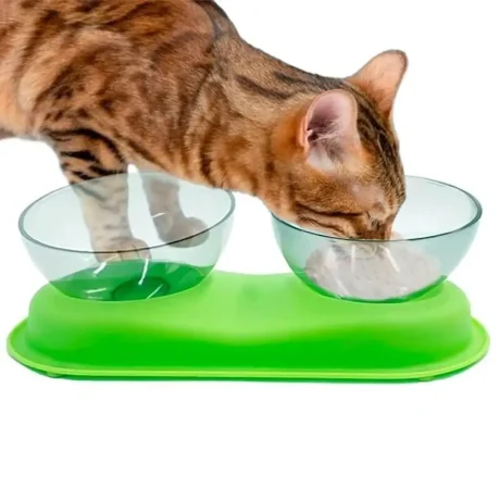 Comedero Ortopédico Doble para Gatos